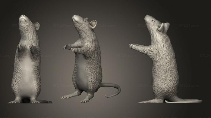 Animal figurines (Rat 2, STKJ_2426) 3D models for cnc